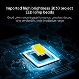 LED2170_B9.jpg@ff774ccd90788b7c61cae4960e994b9f